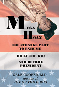 Mega Hoax book cover